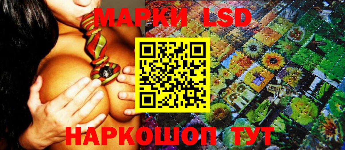 где можно купить наркотик  Наркотические марки 1500мкг  Наркотические марки 1500мкг  Вход с VPN  Советский 
