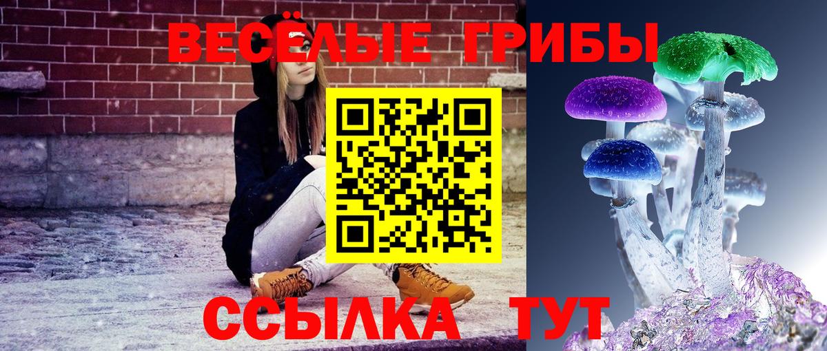 Галлюциногенные грибы GOLDEN TEACHER Советский